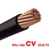 dây cáp điện hạ thế CV Cadivi