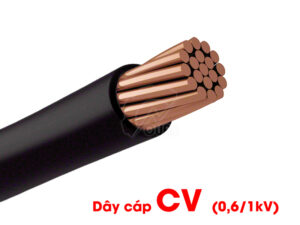 dây cáp điện hạ thế CV Cadivi