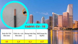 Thông tin dây điện CV 10