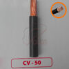 Dây điện CV 50