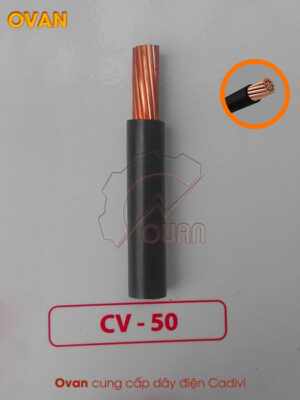 Dây điện CV 50