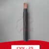 Dây điện CVV 25