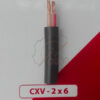 dây điện cxv 2x6