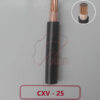 Dây điện CXV 25