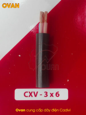 Dây điện CXV 3x6