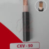 Dây điện CXV 50